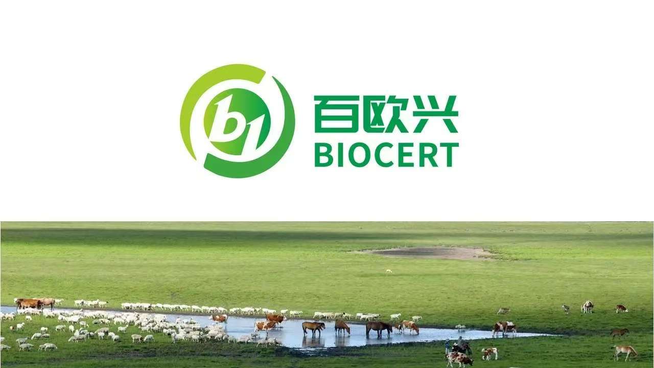 合规经营，行稳致远——百欧兴2026有机产品证后管理专项培训圆满落幕