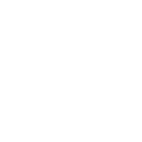 叶子 叶子