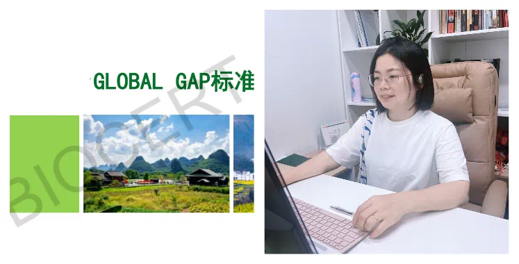 Global GAP 培训圆满收官：解锁农业可持续发展新密码